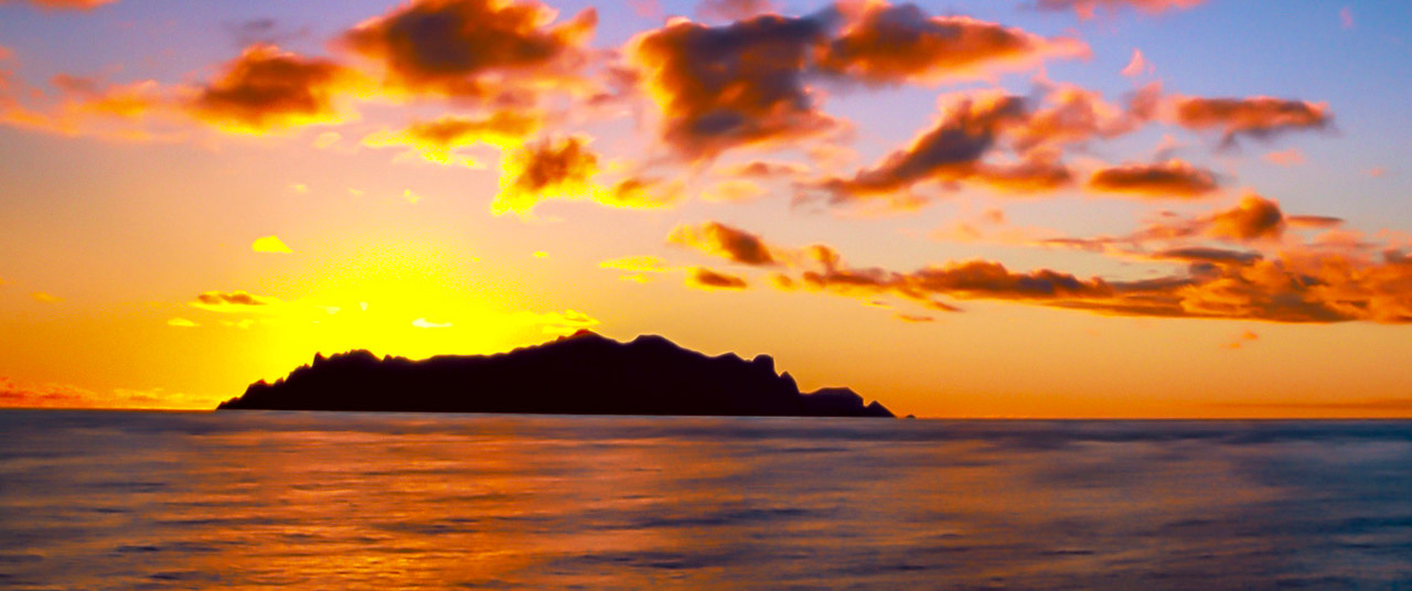 Island biogeography of marine organisms